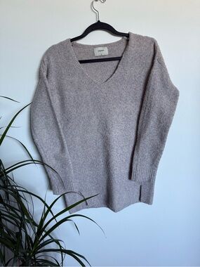 Papaya Light Taupe V-Neck Soft Knit Sweater